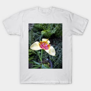 Lily T-Shirt